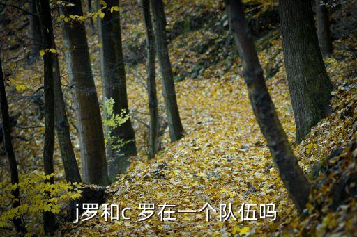 j羅和c 羅在一個(gè)隊(duì)伍嗎