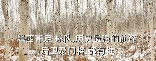  墨西哥足 球隊,歷史最強的前鋒、后衛(wèi)及門將,都有誰
