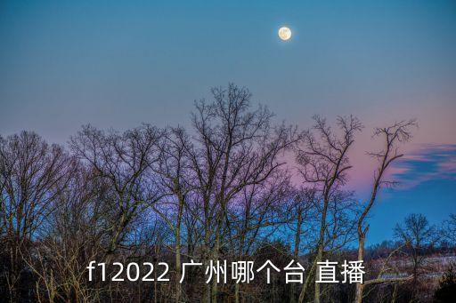 廣州哪個(gè)電臺(tái)直播足球,兩家電視臺(tái)今天直播f1排位賽