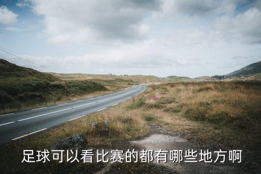 哪個(gè)網(wǎng)站看足球轉(zhuǎn)播,精彩賽事直播帶給你更專(zhuān)業(yè)分析