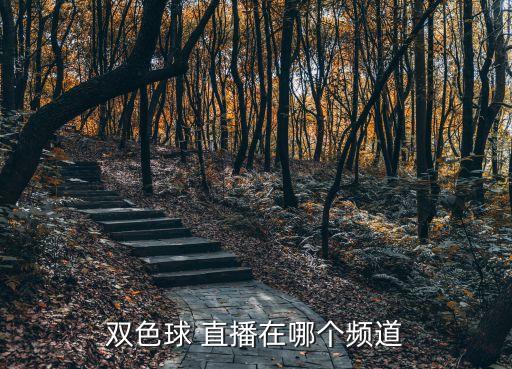 福彩哪個(gè)臺開獎直播,中國雙色球福彩中央統(tǒng)一開獎