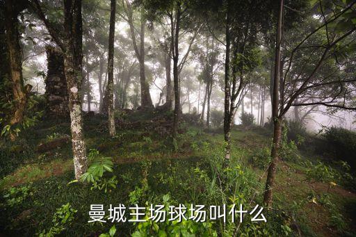 曼徹斯特有哪個(gè)足球場(chǎng),曼聯(lián)在中國奪得20個(gè)英格蘭聯(lián)賽冠軍