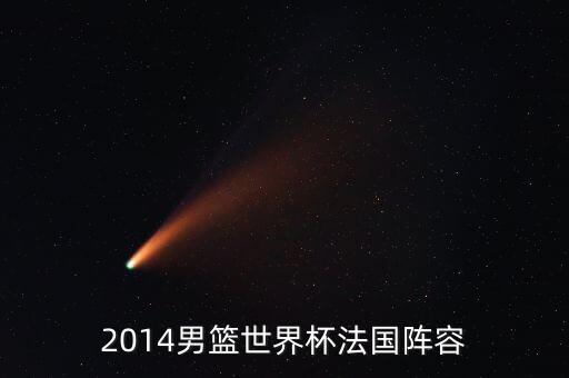 2014nba迪奧在哪個隊,法國男籃球員回顧錄