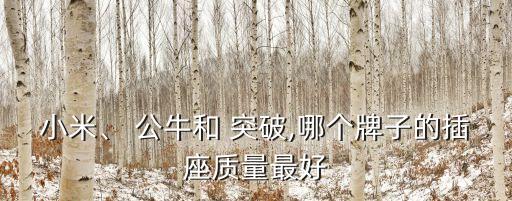小米、 公牛和 突破,哪個(gè)牌子的插座質(zhì)量最好