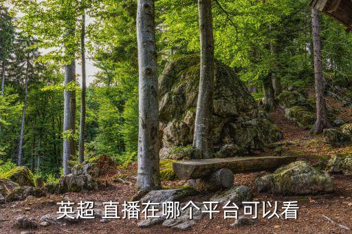  英超 直播在哪個(gè)平臺(tái)可以看