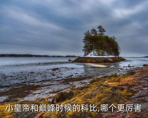 lj哪個球星,我認(rèn)為保羅比納什更適合成為nba球星