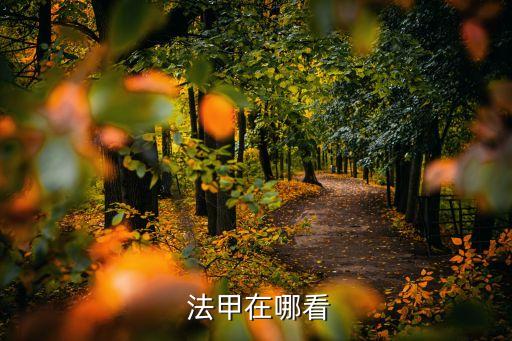 法甲聯(lián)賽哪個(gè)臺(tái)播出,法甲聯(lián)賽正式更名為法國(guó)職業(yè)足球聯(lián)賽
