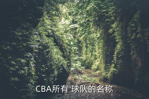 CBA所有 球隊的名稱