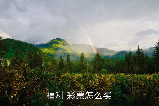 現在還有哪個網站可以買彩票,中國福利彩票:已籌集數千億美元