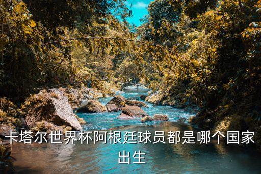 卡塔爾世界杯阿根廷球員都是哪個(gè)國家 出生