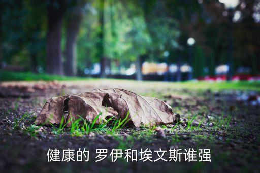 健康的 羅伊和埃文斯誰(shuí)強(qiáng)