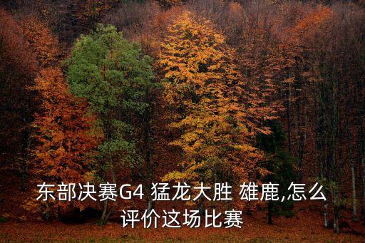 雄鹿跟猛龍哪個強(qiáng),猛龍?zhí)蕴勐购笮郦{高興壞了!