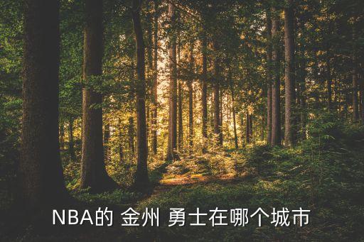 NBA的 金州 勇士在哪個城市