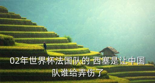 02年世界杯法國(guó)隊(duì)的 西塞是讓中國(guó)隊(duì)誰(shuí)給弄傷了