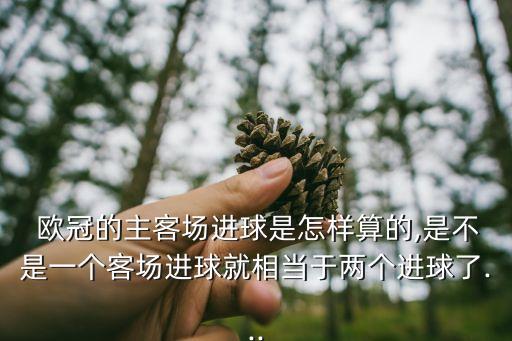  歐冠的主客場進(jìn)球是怎樣算的,是不是一個(gè)客場進(jìn)球就相當(dāng)于兩個(gè)進(jìn)球了...