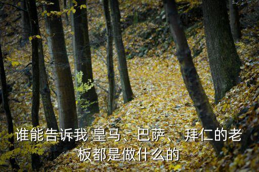誰能告訴我 皇馬、巴薩、 拜仁的老板都是做什么的