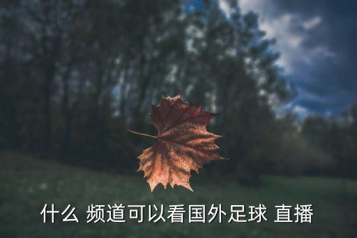 什么 頻道可以看國(guó)外足球 直播