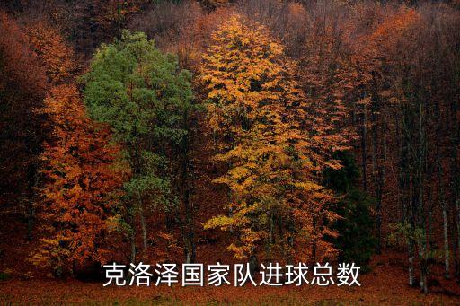 克洛澤現在在哪個俱樂部,德國前鋒克洛澤進球十幾年來沒輸過