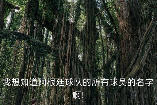 我想知道阿根廷球隊的所有球員的名字啊!