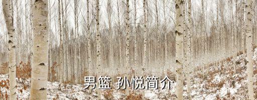 孫悅在哪個隊(duì),孫悅11年進(jìn)nba曾與尼克斯隊(duì)合作
