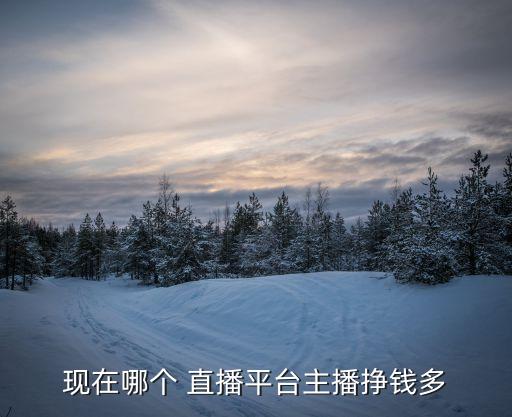 現(xiàn)在哪個 直播平臺主播掙錢多
