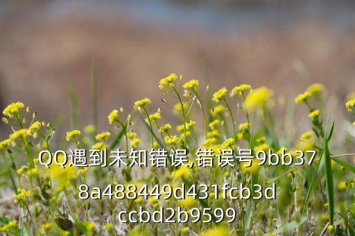 QQ遇到未知錯誤,錯誤號9bb378a488449d431fcb3dccbd2b9599