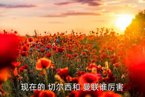 切爾西vs曼聯(lián)哪個隊強,歐冠杯:切爾西重回歐冠領(lǐng)先曼聯(lián)兩分