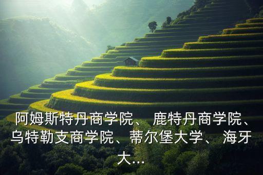 阿姆斯特丹商學(xué)院、 鹿特丹商學(xué)院、烏特勒支商學(xué)院、蒂爾堡大學(xué)、 海牙大...