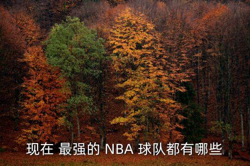 NBA哪個球隊戰(zhàn)術最強,nba全球最強球隊湖人東部第一