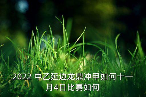 哪個平臺直播中乙,武漢新王者加冕中超冠軍直播:中超聯(lián)賽結束