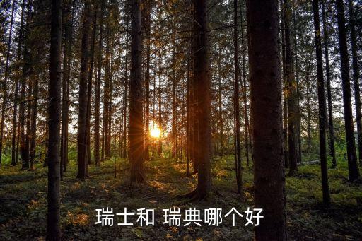 瑞典超和瑞典甲哪個,瑞典是瑞典官方語言嗎?回答（13）