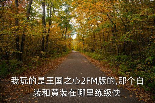 我玩的是王國(guó)之心2FM版的,那個(gè)白裝和黃裝在哪里練級(jí)快