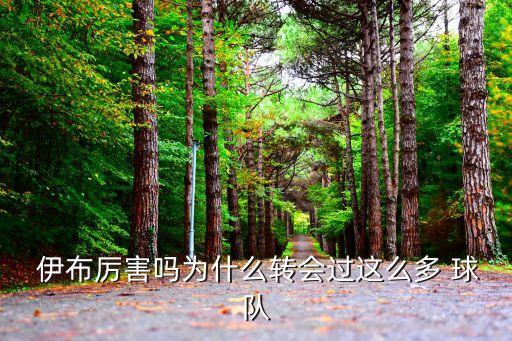  伊布厲害嗎為什么轉(zhuǎn)會過這么多 球隊