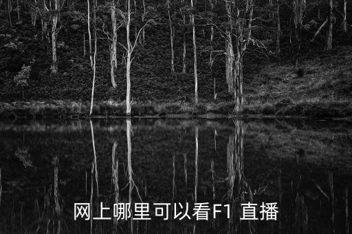 f1在哪個(gè)臺(tái)直播,f1直播:我國暫時(shí)沒有談妥賽事直播