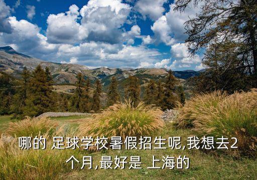 上海 足球 培訓(xùn) 哪個(gè)好,泗涇足球?qū)W校招收中學(xué)以下新生