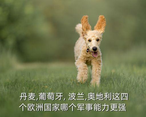  丹麥,葡萄牙, 波蘭,奧地利這四個(gè)歐洲國家哪個(gè)軍事能力更強(qiáng)