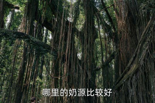 愛爾蘭和荷蘭哪個好,愛爾蘭是歐洲除英國之外唯一英語國家