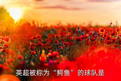 英超被稱為“鱷魚”的球隊是