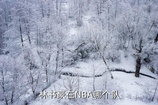 林書(shū)豪是哪個(gè)隊(duì),林書(shū)豪與布魯克林籃網(wǎng)續(xù)約一年