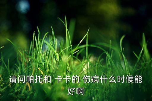 請問帕托和 卡卡的 傷病什么時候能好啊
