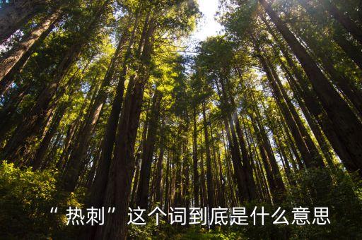 “ 熱刺”這個(gè)詞到底是什么意思