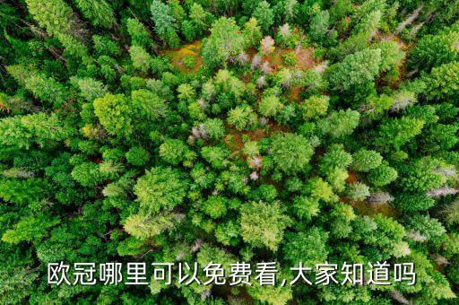 哪個網(wǎng)站轉(zhuǎn)播歐冠,點(diǎn)擊觀看歐冠即可瀏覽全部