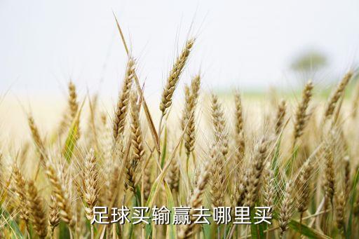 看足球?qū)崟r(shí)比分哪個(gè)好,足球魔方優(yōu)點(diǎn):直播畫面清晰延遲很低