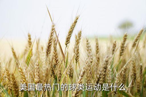 美國最熱門的球類運(yùn)動是什么