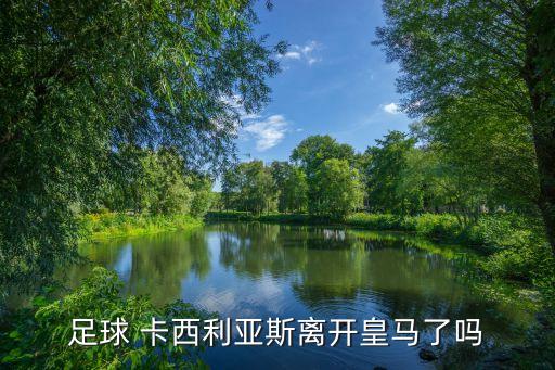 卡西是哪個俱樂部的,轉會波爾圖卡西利亞斯20年后回歸皇馬