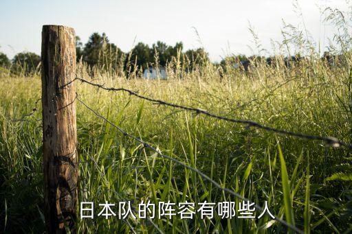 川崎前鋒是哪個(gè)國家,我國足球男隊(duì)陣容成熟有三人受傷倒地