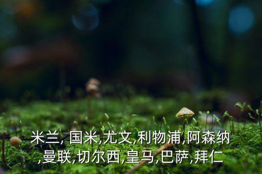國米和里昂哪個強,世界足壇十大豪門之一國米巴薩曼聯(lián)名列其中