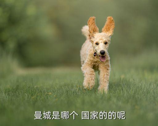 曼城是哪個國家的球聯(lián),曼城，外號藍(lán)月亮曼聯(lián)是英格蘭的驕傲
