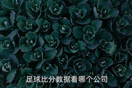 哪個足球網(wǎng)站數(shù)據(jù)庫,足球比分數(shù)據(jù)統(tǒng)計方法1個字:數(shù)
