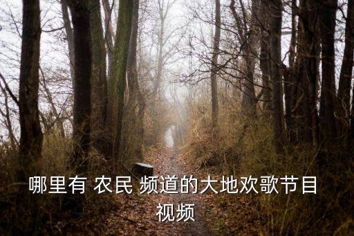 農民頻道哪個視頻觀看,康佳智能網絡電視正式開放觀看